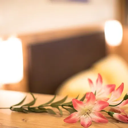 Gaestehaus Falkner Ignaz זולדן