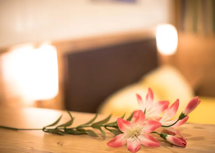 Gaestehaus Falkner Ignaz Solden